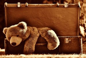 soft toy, teddy bear inside luggage