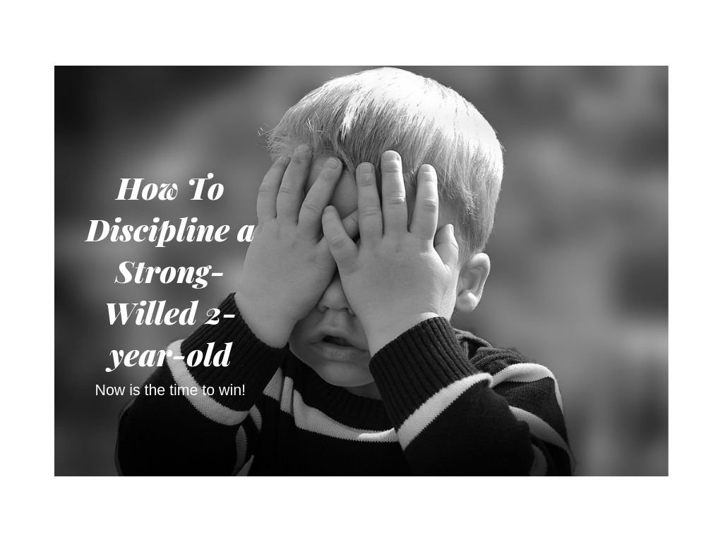 how to discipline a strong willed 2 year old