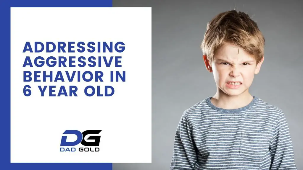 Addressing Aggressive Behavior In 6 Year Old