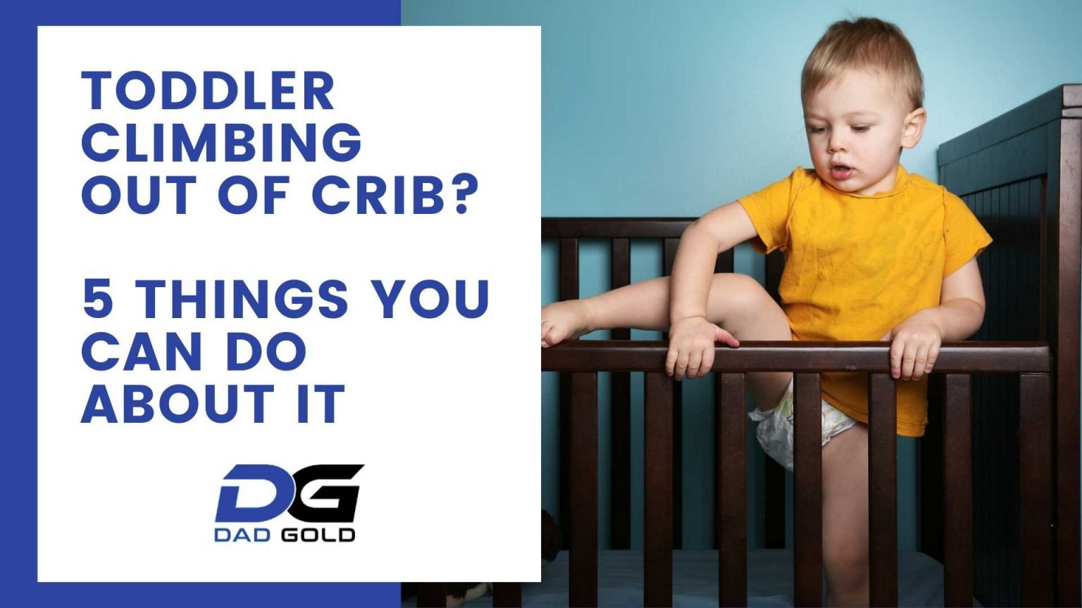 Toddler Climbing Out of Crib? 5 Solutions Here Dad Gold