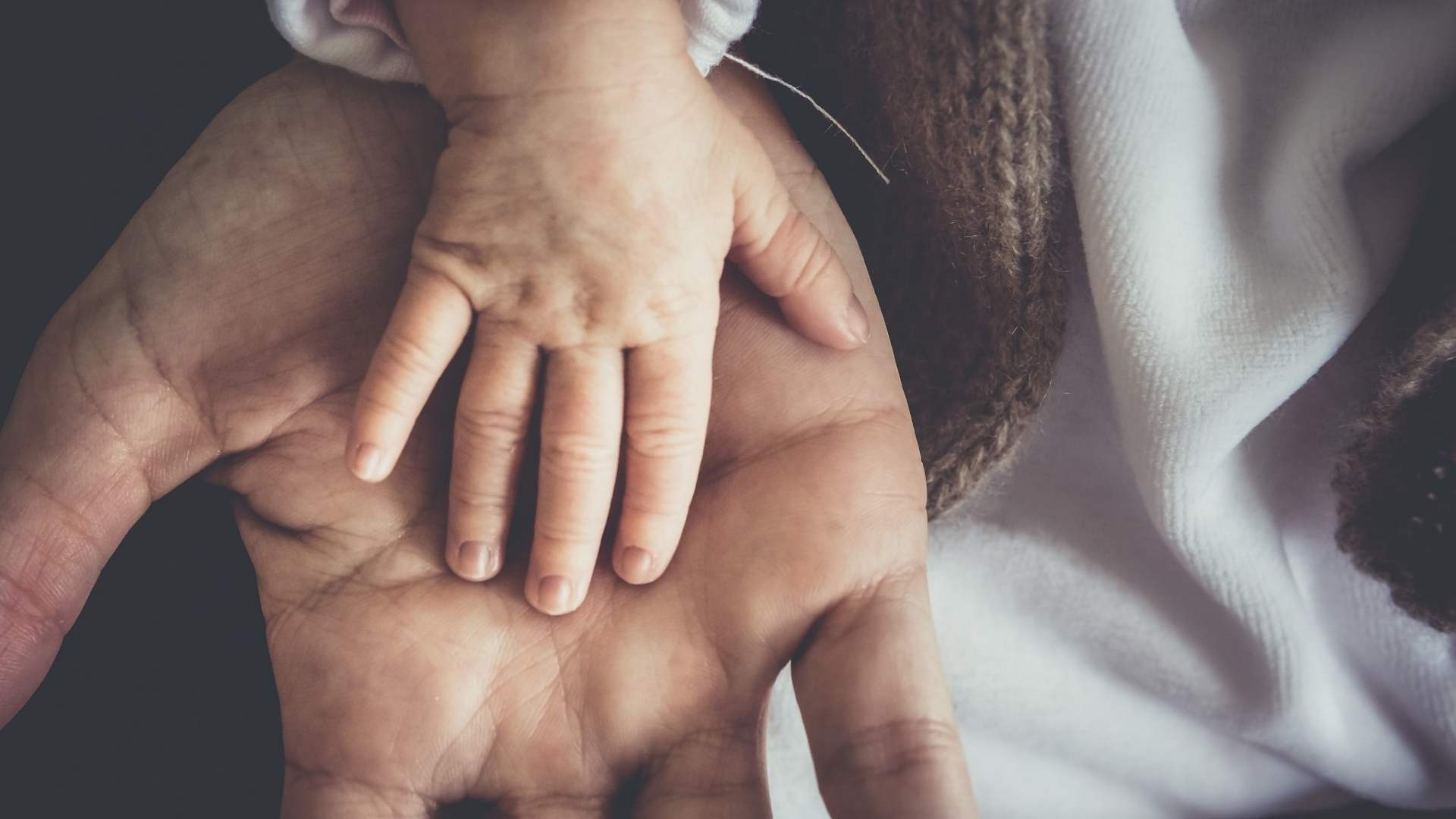 Child's hand in the hand of their parent