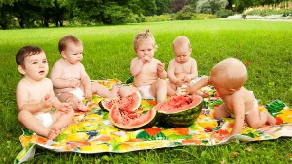 baby picnic