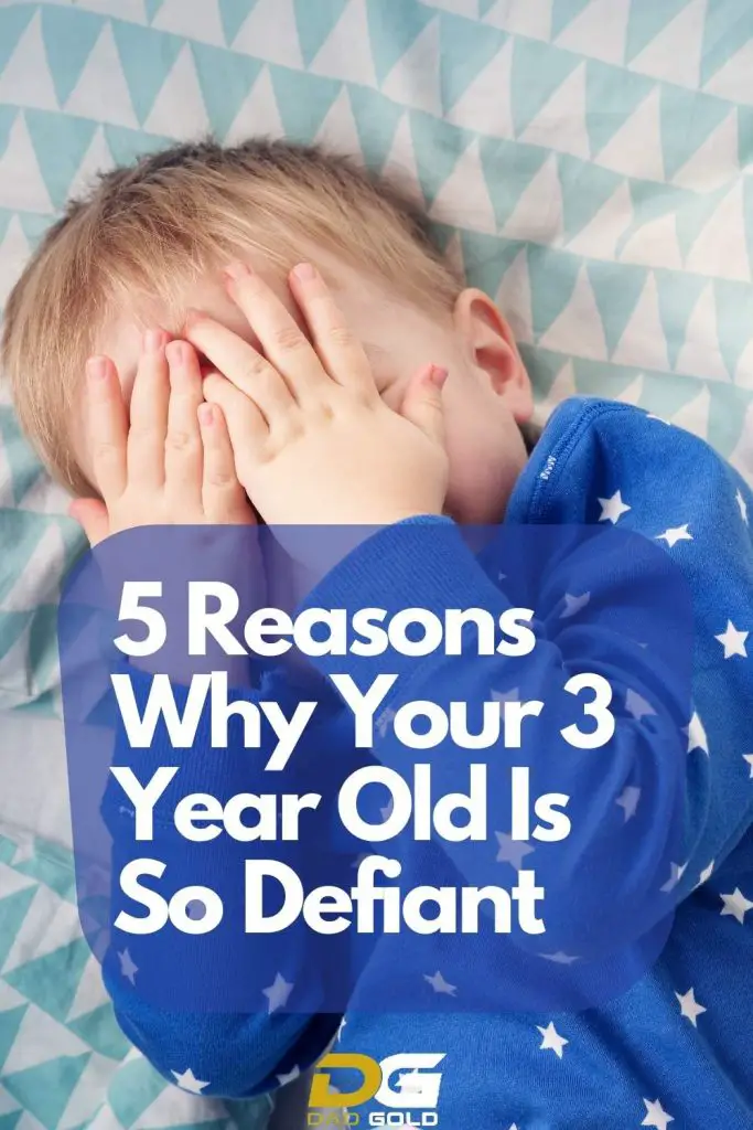 5 Reasons Why Your 3 Year Old Is So Defiant
