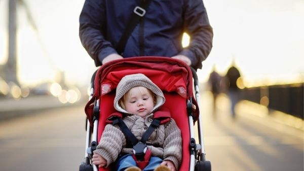 dad pushing toddler in stroller