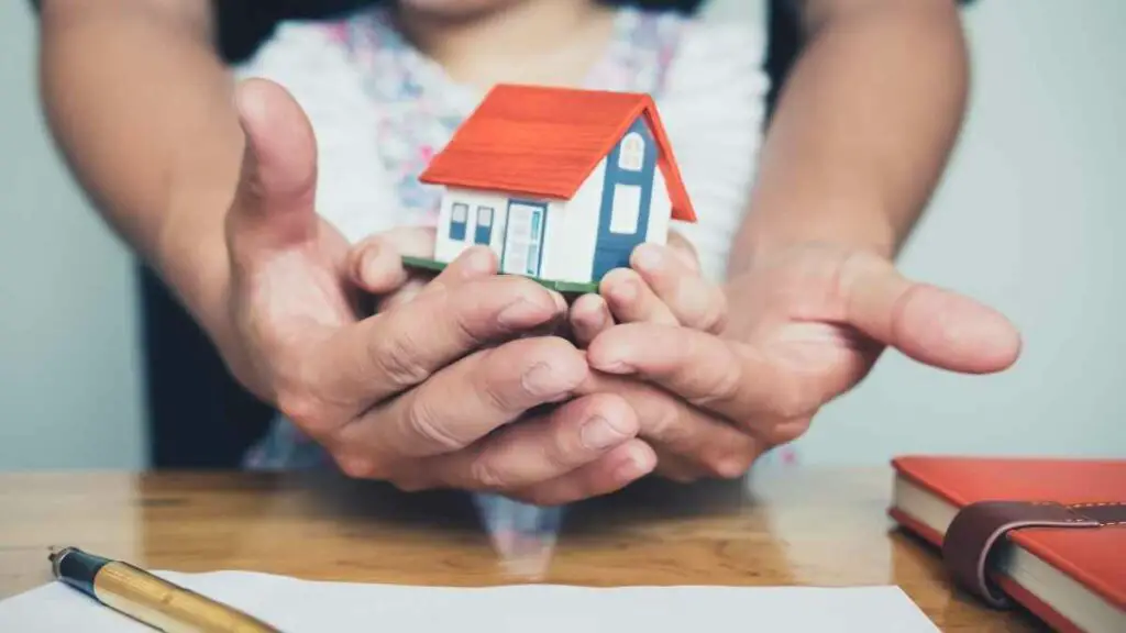 small house in hands