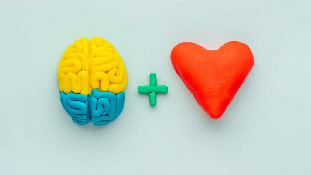 brain and heart