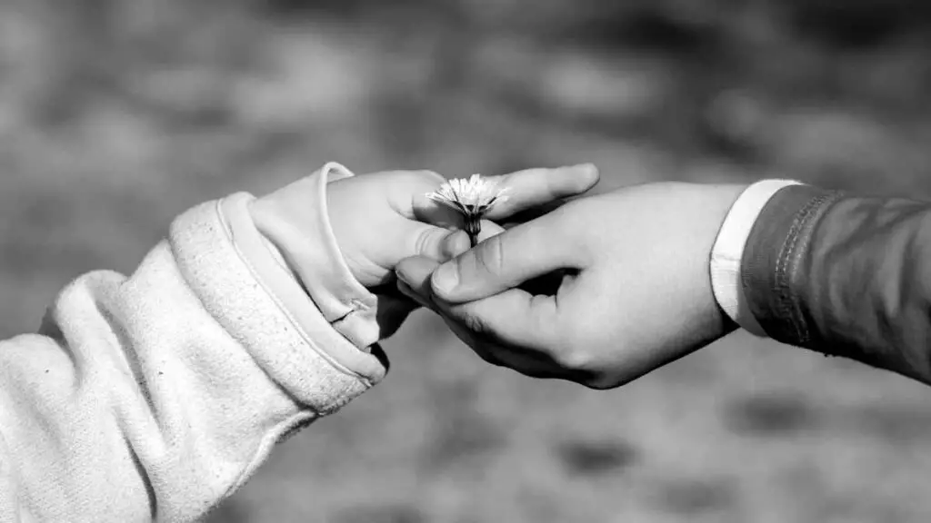child handing a flower to another child