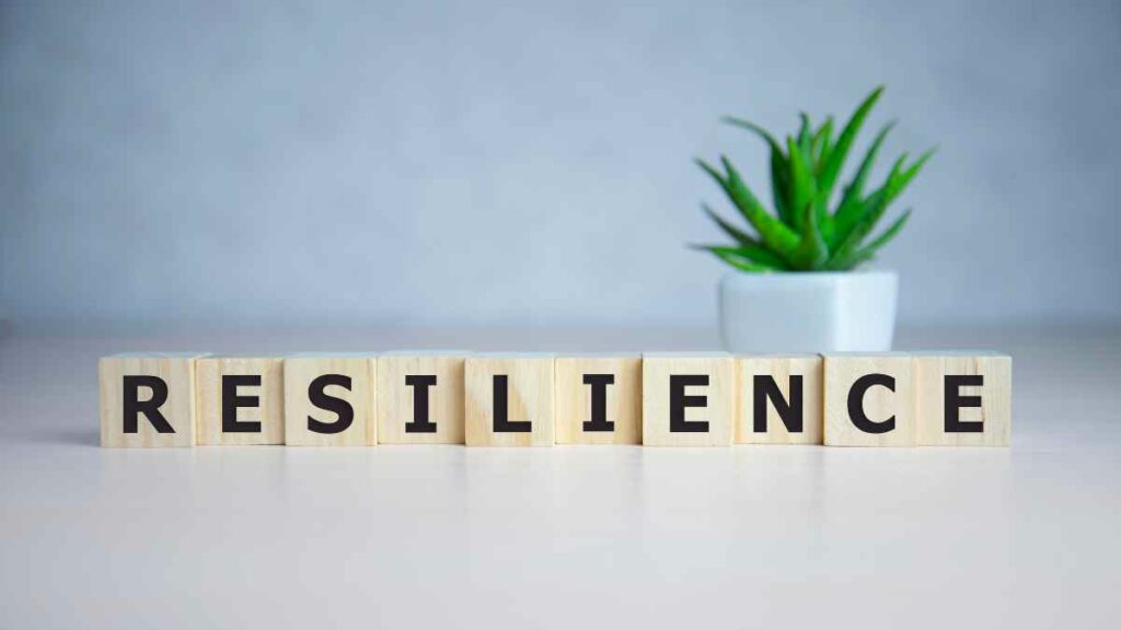 resilience word